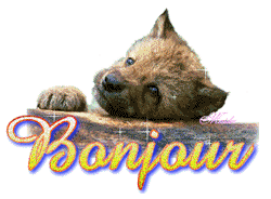 Gif animé bonjour
